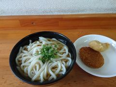 せっかく大阪まで来たのだから讃岐うどんを食べるためだけに高松に足を伸ばしてみた