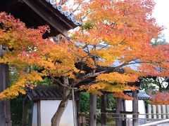 海住山寺＆正法寺の紅葉