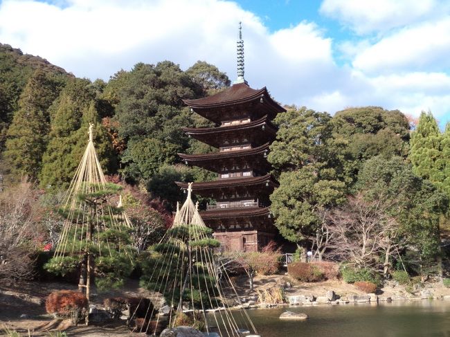 今巷で話題沸騰？の桜を観る会で話題の安倍さん後援会のある山口に行って参りました。<br />12月に入り、6月以降お城に登城していないことにハタと気がついて慌ての今回の旅行となりました。<br />ホントは3泊して小倉城とふくを食しに下関にも訪問する予定でしたが、思いの他風邪が長引いてしまい、今回は断念。<br />余裕のある行程にしました。飛行機予約は2日前…。<br /><br />12/12 羽田から山口宇部空港へ新山口経由で、山口駅。十朋亭、龍福寺、大内氏館、菜香亭、常永寺、瑠璃光寺、ザビエル記念聖堂<br />12/13 津和野、浜田<br />12/14 萩