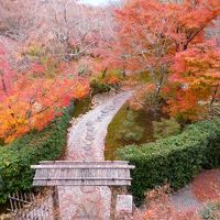 晩秋の京都（紅葉・ライトアップ・おばんざい）