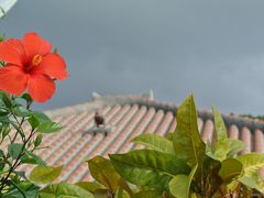 12月に石垣島・竹富島へ　1泊2日でも気分はのんびり旅！（2日目 竹富島に癒されて・・）