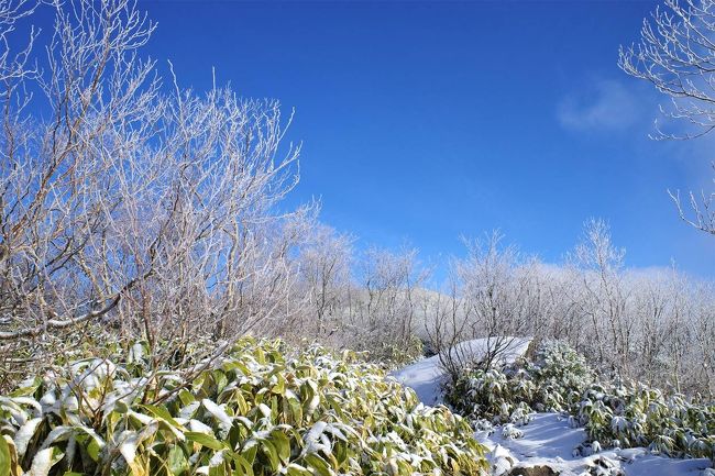 冬の飯縄山へ雪山登山に行ってきました。<br /><br />長野駅からバスを利用。飯綱登山口から登り、戸隠神社・中社に下山後、鏡池～戸隠神社・奥社を巡りました。<br /><br />飯縄山は山頂付近が素晴らしい霧氷風景！樹々が真っ白に凍り付いて素晴らしい景色を見ることができました。<br /><br />▼ブログ<br />https://bluesky.rash.jp/blog/hiking/iizunayama2.html