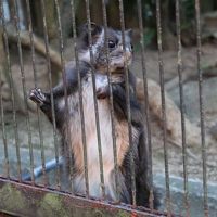 愛媛県立とべ動物園初日　光の動物園