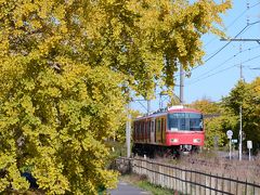 祖父江町のイチョウ