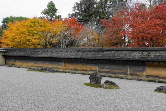 19冬 御土居と龍安寺で紅葉を楽しむ 今出川 北大路 北野 京都 の旅行記 ブログ By Rosaryさん フォートラベル