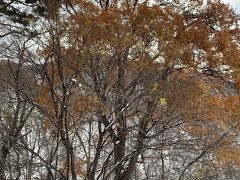 山岳小説でなじみの谷川岳へ。えぇ～？雪？