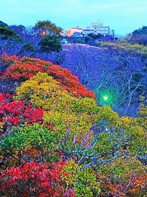 長崎18 風頭山a 風頭公園‐亀山社中跡あたり 夕方探訪 ☆矢太楼
