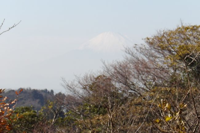 　「天園」とは、かつての鎌倉市・横浜市の最高峰の大平山一帯のことで、山頂（標高は162m～164mの範囲）からは安房・上総・下総・武蔵・相模・伊豆の国々を望むことができることから六国峠と呼ばれていた。この山頂から今泉不動に向かう街道、建長寺方面に向かう街道、瑞泉寺方面に向かう街道が岐かれていた。現在は大平山は昭和38年（1963年）に掘削され、平らな大平平になっている。そのために、中腹にある五差路を天園峠と呼んでいる。かつて源頼朝は現在の天園峠を通って奥州平泉に遠征し、凱旋した。すなわち、天園峠には軍事道路が通っていたのだ。<br />　時代が下って、大正10年（1921年）に現在の天園休憩所が営業を始めた。この頃は大平山に上る人が増えたということであろう。日露戦争でロシアのバルチック艦隊を撃破したあの日本海海戦を指揮した東郷平八郎（弘化4年12月22日（1848年1月27日）～ 昭和9年（1934年）5月30日））元帥が、昭和初期に、「天国の園に遊ぶ」ということを夢見て、六国峠の周辺を「天園」と呼んだ。したがって、「天園」の名が出てきたのは昭和に入ってからのことである。また、天園休憩所のご主人等によって獅子舞谷に銀杏の木や楓（もみじ）の木などが植林されたのも昭和初期のことである。<br />　天園峠の展望岩や峠の茶屋跡から見える富士山は木々の枝葉が邪魔しており、富士山のビュースポットとしては劣っている。また、かつての大平山を削って平坦にした大平平の崖の縁からも木々の枝葉に邪魔され、富士山は半分しか見えない。このことから、ここ天園周辺の最も優れた富士山のビュースポットはかつての大平山山頂であったのであろうと考えられる。ここは鎌倉市・横浜市の最高峰の山であり、西側が開けていれば、間違いなく富士山が綺麗に見えたであろう。天園峠からこの山頂まで来て、ここで富士山を眺めた後に、建長寺方面や今泉不動方面に向かったのであろう。<br />（表紙写真は峠の茶屋跡から見える富士山）