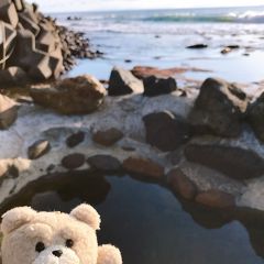 【秘湯】~満潮で水没する温泉~瀬石温泉~野天風呂、初体験~北海道、知床半島~2019.10