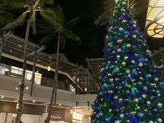 クリスマス時期のハワイ旅行