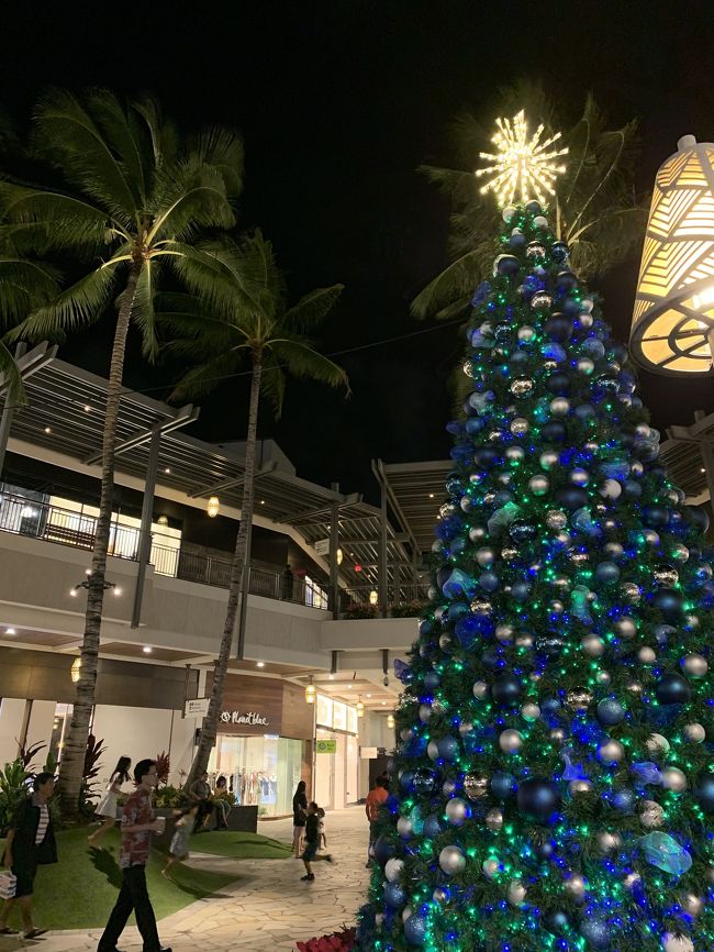 ハワイは6度目ですがクリスマス時期のハワイは初めてです^ ^<br /><br />雨が多かったけどそんな事はきにしない！笑<br /><br />あー！もう、またいきたーい♡