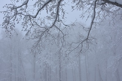 夏訪れた裏磐梯の初冬の風景は雪景色。湖面の風景は温度差により雪模様が変わる。<br />自然の織り成す風景美に一喜一憂。カメラを持って美しさを追いました。<br />朝に夕に雪景色は違います。機動力のある車で風景を追いました。<br />雪が積もる前の初冬の自然美。雪風景に堪能です。