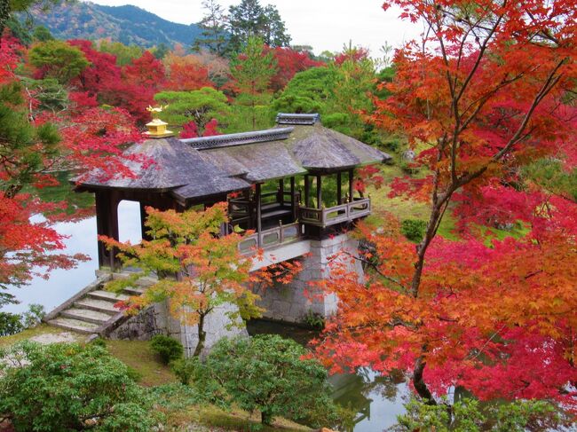 19京都の紅葉 修学院離宮 参観と 赤山禅院 の紅葉 19 11 22 八瀬 大原 貴船 鞍馬 京都 の旅行記 ブログ By 実結樹さん フォートラベル