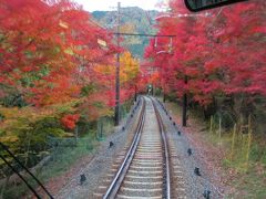 2019京都の紅葉⑨  叡山電鉄「もみじのトンネル」と「白龍園」の紅葉　2019/11/22