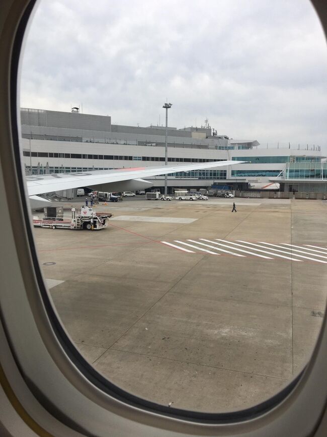 飛行機デビューの我が子とディズニーリゾートへ行ってきました。