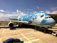 [2019 ハワイ] Leg.8(Fin)　 ANA･Ａ380<フライングホヌ>  NH183便 搭乗記 (HNL→NRT)