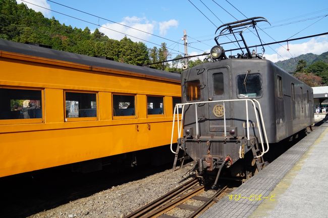 ２日目、東京を朝６時台の新幹線こだま号に乗って静岡県の大井川鉄道を訪ね、ＥＬ急行列車に乗ってきました。機関車トーマスや車庫も見る事ができ、楽しい旅行となりました。