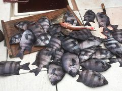 淡路島 由良沖のサンバソウ釣り 淡路島 兵庫県 の旅行記 ブログ By 旅好き長さんさん フォートラベル