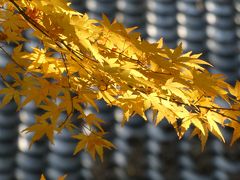 名残紅葉を見ながら歩いた師走の大原野