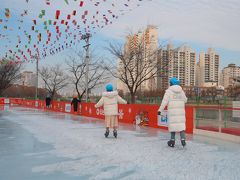 冬の韓国で遊ぶ！スケート＆そりスポットin大邱