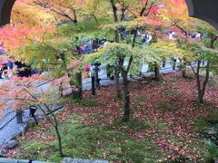 永観堂　　紅葉狩り