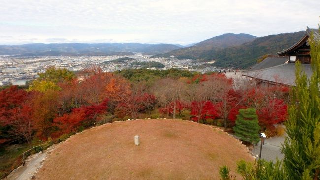 11月下旬、2泊3日の日程で、紅葉真っ盛りの京都を訪れました。<br />京都には15年間住んでいたことがあり、今回は、いままで訪れたことのない場所と、あらかじめ参観申込をしていた修学院離宮と桂離宮を中心に、「一日３景主義」（ゆったりと時間をとって鑑賞するため、１日に訪れる場所は３箇所以内とする）を原則として、合計８箇所を巡ってきました。<br />その１日目にまず訪れたのが、将軍塚青龍殿です。ここは2012年より大護摩堂「青龍殿」建立工事が行われ、2014年10月4日に青龍殿落慶青不動明王開眼法要が行われた新しい観光スポットです。以前からあった将軍塚の横に展望台に加えて、青龍殿の北に京都盆地を一望できる大舞台が併せて設置されています。<br />私自身は、東山山頂公園の無料展望台は2回ほど訪れた記憶がありますが、青龍殿のほうはこれが初めてとなりました。展望はもちろん、庭園のモミジも見頃を迎えていて大満足。