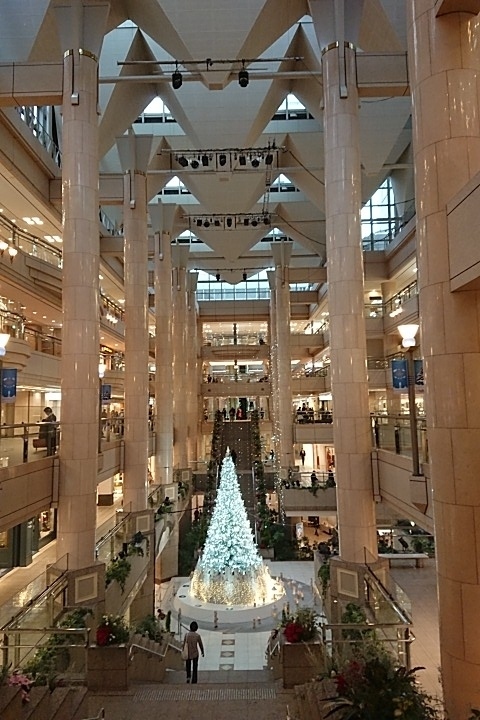 クリスマスツリーinみなとみらい 横浜 神奈川県 の旅行記 ブログ By ココ ナッツさん フォートラベル