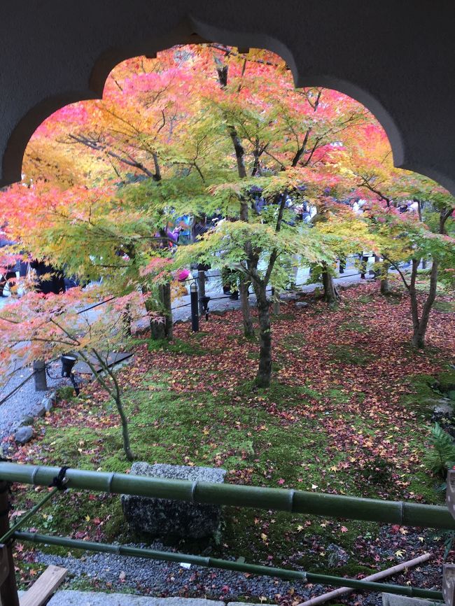 京都永観堂の紅葉は、真っ赤っかーでした&#127809;