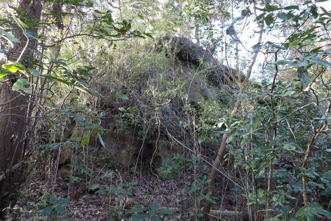 　鎌倉市二階堂には獅子岩（ししいわ）や獅子巖（ししがん）と呼ばれる獅子が臥った姿に見える岩があった。今もあるのかと探してみたが、探し出すことは難しいようだ。<br />　Webを検索すると、近年（2017年）に天園峠の上り口に設けられた「獅子岩（ししいわ）」は獅子には見えないという多くの意見や感想がある。それはおそらくは小岩であるからかも知れない。この狭い谷周辺では峠の崖にある大岩（https://4travel.jp/travelogue/11575287）や中腹の銀杏の木の傍らに転がっている岩（https://4travel.jp/travelogue/10526639）の方が獅子の姿に見えるというブログも複数件見付かった。<br />　あるいは、瑞泉寺の北に獅子舞ヶ峰があり、獅子巖があるとするブログも何件は見付かった。これが本当ならば、近年（2017年）に天園峠の上り口に設けられた「獅子岩（ししいわ）」が相応しくなる。しかし、瑞泉寺には開山の夢窓疎石が十境致を定めたと云われており、それが紅葉ヶ谷、天台山、獅子窟（あるいは獅子巖）（https://www.jstage.jst.go.jp/article/aija/69/580/69_KJ00004229273/_pdf）、羅漢石、睡虎石、寒山石、拾得石、葆光窟、天女窟、貯清池であるという。獅子巖ではなく、座禅する獅子窟のようだ。この十境致に「大亀石」（https://4travel.jp/travelogue/11196618）は含まれてはいないが、おそらくは全てが瑞泉寺の近くにあったのではないか？そうだとすれば、天台山が最北であろう。<br />　時代が下がって、江戸時代になると徳川光圀（水戸黄門）が「新編鎌倉志」（貞享２年（1685年））に「獅子巖（ししがん）は、永福寺舊跡の北、山の嶺（みね）にあり。」「昔は永福寺の内なり。」と紹介している。それは、 江戸時代の絵地図「相州鎌倉之図」（https://trc-adeac.trc.co.jp/Html/ImageView/2321315100/2321315100100010/137-019-00/）に記載されている「獅子に似たる石（獅子岩）」が相当しようか？<br />　国土地理院の地図にある山道を頼りに亀ヶ淵奥の東電変電所から竹林になっている裏山を目指して、尾根伝いにこの竹林の最奥まで上ってみたが、この舌状の尾根には鉄塔近くに1ヶ所しか岩は見られなかった。戻って、天園ハイキングコースを目指すと、尾根の手前で山道が終わり、低く石垣が積まれているように見える場所を台にしたような大岩が立ちはだかる。この大岩が獅子岩？とするブログもある。もし、この石垣状に見えるのが人工物であるなら、この大岩が獅子巖である可能性も高くなろうか。そして、この山道を下った亀ヶ淵奥の東電変電所から下流の低地は江戸時代の「獅子舞谷」、その後の小字「獅子舞」である。<br />　江戸時代までは神社仏閣の木鼻にあるように、唐獅子は身近な存在であり、百獣の王・ライオンやエジプトのスフィンクスが日本に紹介される以前には、獅子が伏せたような姿の岩などはそこここに存在したのであろう。それに似た存在としては他に「亀石」が挙げられようか。<br />　おそらくは、江戸時代以前には永福寺の北、瑞泉寺の周辺、そして、六国峠の下辺りにも獅子巖や獅子岩、あるいは獅子窟があったと考えると、こうした獅子岩と獅子巖の謎は解消できそうな気がする。あるいは、「獅子舞谷」の地名が山中奥の谷にダブって付けられた理由についてもその端緒が掴めそうな気がしてくる。<br />（表紙写真は山道が途絶える場所にある大岩）