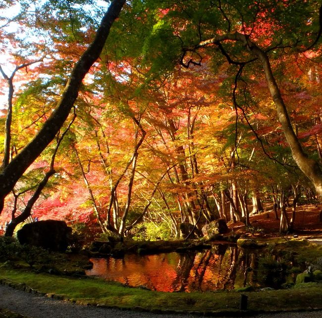 京都紅葉八景（2）醍醐寺