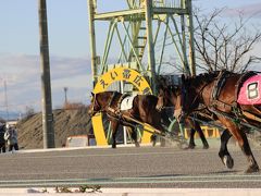 北海道旅行記その3 帯広グルメと競馬・十勝が丘展望台編