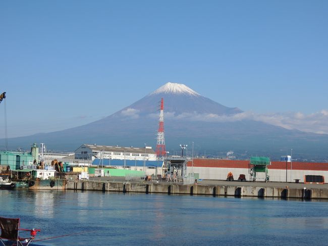 しらす街道フェアーがやるよ、という情報が流れてきたので、新鮮なシラスを求めていざ漁港へ。場所も近いから富士宮焼そばも食べちゃおう、あ、とらや工房にも行っちゃおうゼ☆、というおいしい旅でした。