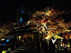 鎌倉２０１９紅葉　【３】長谷寺