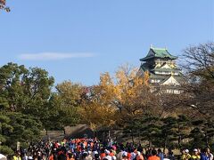 新しいコースになった大阪マラソンを走りました（2019年12月）