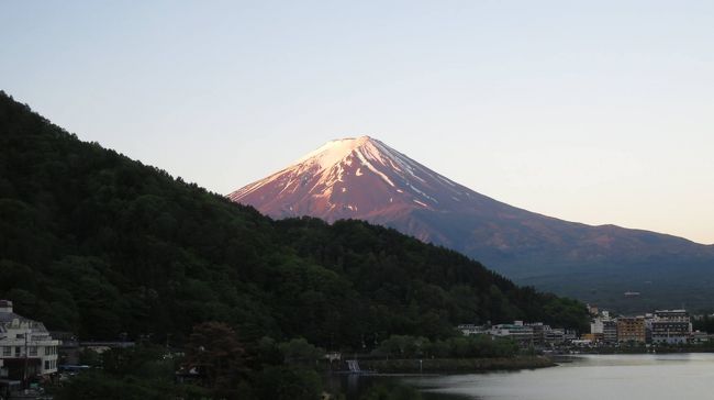 富士山見たさに河口湖畔に宿を取り（夕食はほうとう）、スバルラインで富士山五合目を経て富士宮市の本宮浅間大社へ。早朝には縁起物の”赤富士”が見られましたし、前日の大雨から一転して快晴の一日に。