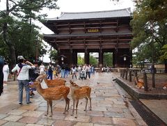 初秋の京都と奈良の旅　二日目【１】京都東寺、奈良正倉院から東大寺大仏殿へ