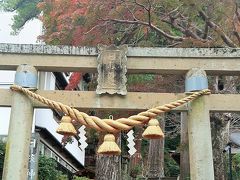 修善寺-2 　日枝神社に参拝　イチイガシ：県-天然記念物　☆縁結び/子宝祈願の神社