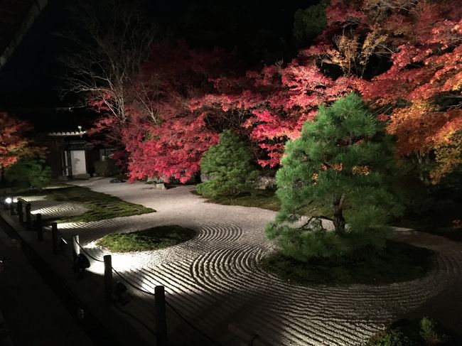 関西出張の帰りに、京都に寄りました。<br />佐竹本三十六歌仙絵巻展を見るのが寄り道の目的です。<br />ちょうど紅葉がピークの11月下旬の京都です。<br />せっかくなので、ライトアップ拝観を利用して、ほんの少しだけですが紅葉も楽しみました。