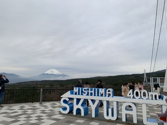 バスツアーで立ち寄りました。<br />日本一の吊り橋を歩きながら<br />日本一の富士山と日本一深い駿河湾が眺められる<br />絶景スポットです<br />頂上でもお楽しみはありますが<br />これからもっと発展しそうです<br />ほかになにもないけれど<br />豪華な自然を満喫できる場所です。