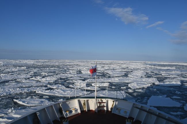 2019年2月14日(木)~18日(月)で、流氷を見るのとSL冬の湿原号に乗るために北海道へ行ってきました。<br /><br />流氷はちゃんと見えましたし、SLも運休せず乗れました。<br /><br />詳細はWEBで。←<br /><br />めでたしめでたし。←←