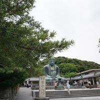 かいひん荘鎌倉に関する旅行記 ブログ フォートラベル 鎌倉 かいひん荘鎌倉に関する旅行記 ブログ フォートラベル 鎌倉