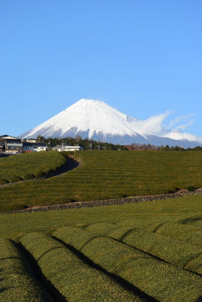月に1度の富士滞在。冬なので富士山が見える日が増えてきました。