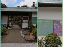 終わりかけの紅葉を見に白野江植物公園へ ☆｡･:*:･ﾟ'☆,｡･:*: