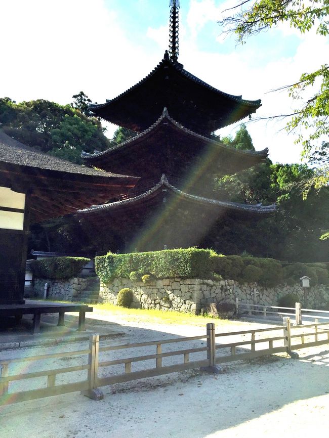 滋賀県大津市にある園城寺(三井寺)を訪れました。寺の中を見て回り、お参りしていると、その時、西国三十三か所巡りの案内を見ました。そこで巡礼の旅を始めることにしました。一泊して、翌日礼拝に訪れたのは、近江八幡市安土町の観音正寺です。三井寺は、町のなかにあり、電車の駅から歩ける距離にあります。ところが、観音正寺は、レンタル自転車で登山口に行って、そこから山登りで行ったところ、暑い中で大変苦しい思いをしました。いくつかのルートがあるなかで、一番難易度が高いルートのようです。あまりに疲れたので、帰りはレンタル自転車を置いたところまで、タクシーで行きました。しかし、苦労すると参拝の意義もあり、ご利益も大いにあるかなと良い方に考えることにしています。