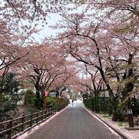 岳温泉_Dake Onsen　安達太良山の恵み！三度の災害を乗り越えて今に続く酸性泉の名湯