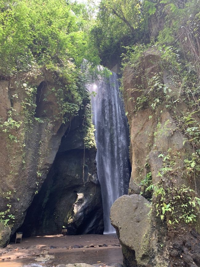龍が住む滝！？！？<br />龍はバリ島の守り神と、昔から信じられています。<br />その龍が住む滝が、キンタマーニ高原やバトゥール山湖があるバンリ県にあります。<br />名前は「Goa Raja Waterfall（ゴアラジャの滝）」。<br />Goa（ゴア）は洞窟。<br />Raja（ラジャ）は王様と言う意味です。<br /><br />自然の手付かずの滝でしたが、人が歩ける様に道が作られ、トイレ、着替えをする場所などが作られ、新しい観光地になります。<br />12月27日にオープニングセレモニーが行われます。<br /><br />オープニングセレモニー前に視察へ行って来ました。<br />上から下へ一気に落ちる直瀑の滝で、沐浴をする事も出来ます。<br />そして滝の裏側に洞窟があります。<br />人が一人やっと通れるぐらいの細い道。真っ暗の中、奥へ奥へと進んで行きます。<br />しばらく行くと光の差し込む少し広めの空間が現れます。<br />天井の緑のカーテンから陽の光が差し込み、幻想的な輝きが空間を照らしています。<br /><br />駐車場から滝までの階段は少ないですが、階段を降りてからは小川に沿って川原を少し歩きます。<br />ちょっとしたお散歩って感じです。<br />勢いよく流れる滝を見に行くのも良いし、滝に打たれるのもOK。<br />滝壺はないので水遊びは出来ません。<br />お供え、お祈りをして沐浴をするのも良いと思います。<br />機会がありましたら行ってみてください<br /><br />Goa Raja Waterfall<br />Jehem, Tembuku, Bangli Regency, Bali