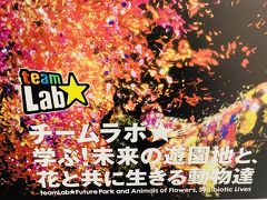 姪っ子ちゃんとチームラボ、名古屋市科学館。