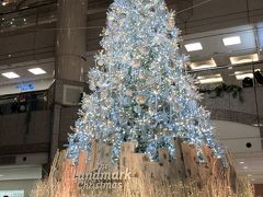 19年 クリスマスツリー 状 集 広島市 広島県 の旅行記 ブログ By Yamaotokoy1さん フォートラベル
