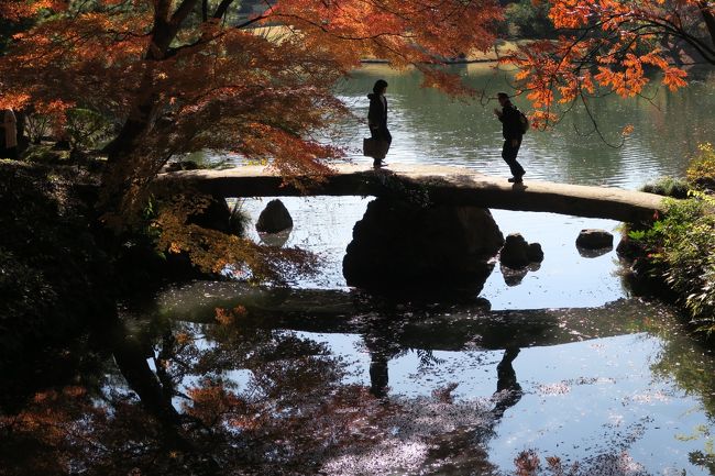 ・西の空70年代の夢茜ね<br /><br /><散り紅葉> -悠遊人<br /><br /> これは2019の暮れのこと<br /> もう12月半ばというのに<br /> 都心では<br /> まだ紅葉が残っておりました<br /><br /> 今年もいろんな問題を抱え<br /> 過ぎようとしていました<br /><br /> いったい縄文人は<br /> どこから来て<br /> どこへいったのか?<br /><br /> 邪馬台国は何処にあるの?<br /> 卑弥呼はどこで生まれ<br /> どこで死んじゃったの?<br /><br /> どうしてお隣の国は<br /> ブンブンとうるさいの?<br /><br /> チコちゃんはまだ怒ってる?<br /><br /> あなたはいつまで旅に出るの?<br /> あたしはどこまで行けばいい?<br /><br /> 今の病気は治る?<br /> いったいいつ迄生きたらいいの?<br /><br /> 問題は<br /> 今年も変わらず先送り<br /> そして新たに年が暮れていく<br /><br />※悠遊人の写真集<br />https://wpb.imagegateway.net/gallery/search?keywords=%E6%82%A0%E9%81%8A%E4%BA%BA&searchBtn.x=0&searchBtn.y=0<br />