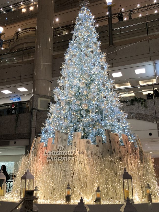 2019年　クリスマスツリー（状）集